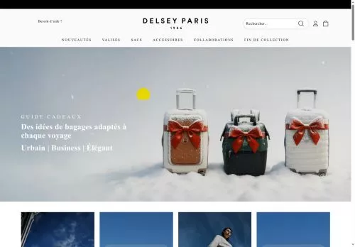 Delsey Paris janvier 2026