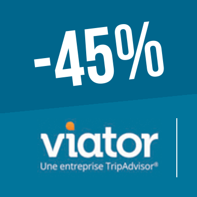 Logo Viator