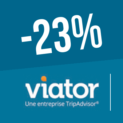 Logo Viator