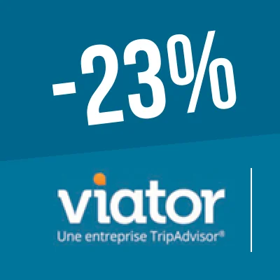 Logo Viator